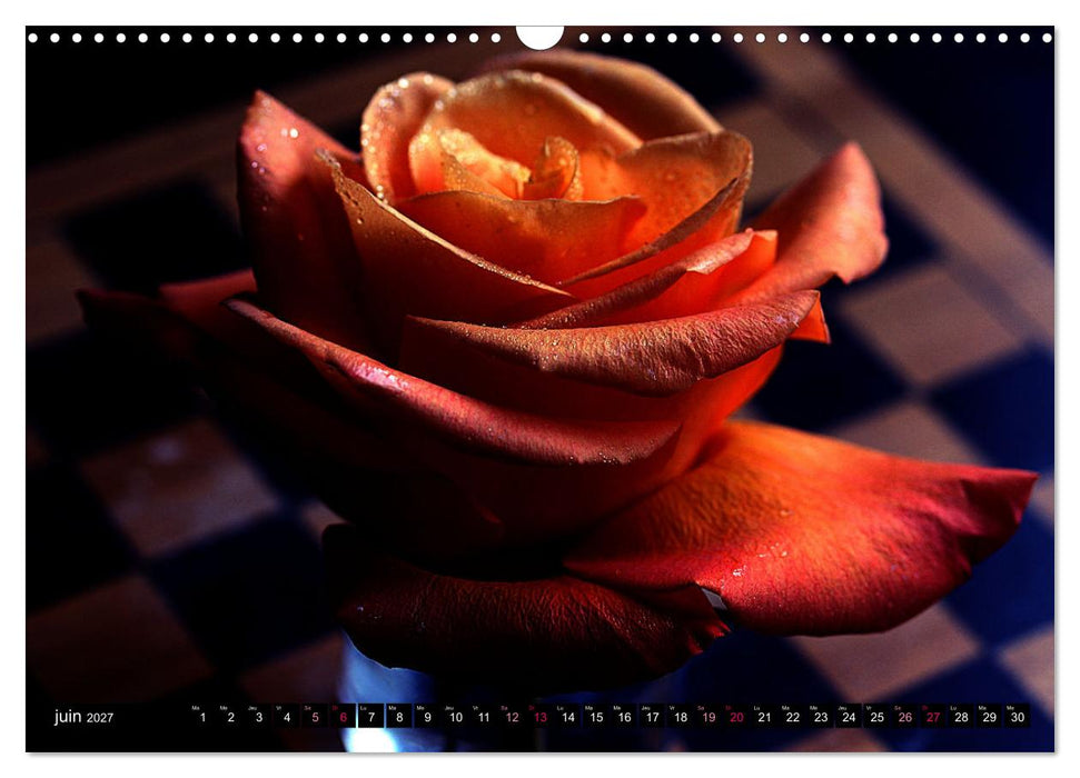 Bouquet d'un jour, bouquet pour toujours (CALVENDO Calendrier mensuel 2027)