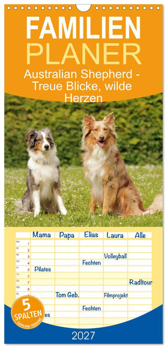Australian Shepherd - Treue Blicke, wilde Herzen (CALVENDO Familienplaner 2027)