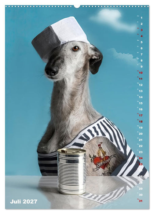 dogmuse deluxe (CALVENDO Premium Wandkalender 2027)