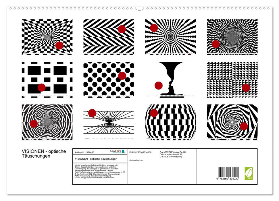 VISIONEN - optische Täuschungen (CALVENDO Wandkalender 2027)