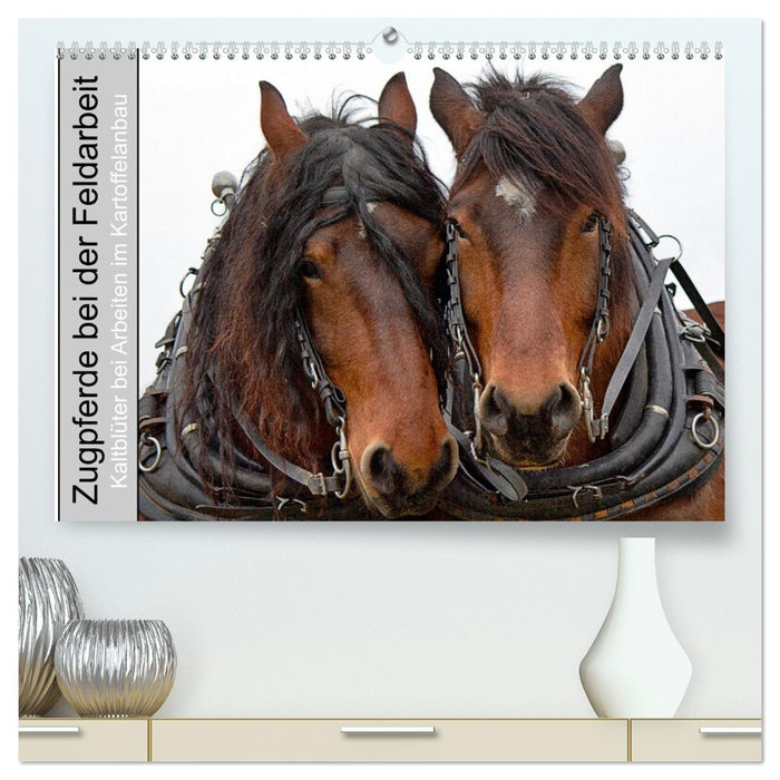 Zugpferde bei der Feldarbeit (CALVENDO Premium Wandkalender 2027)