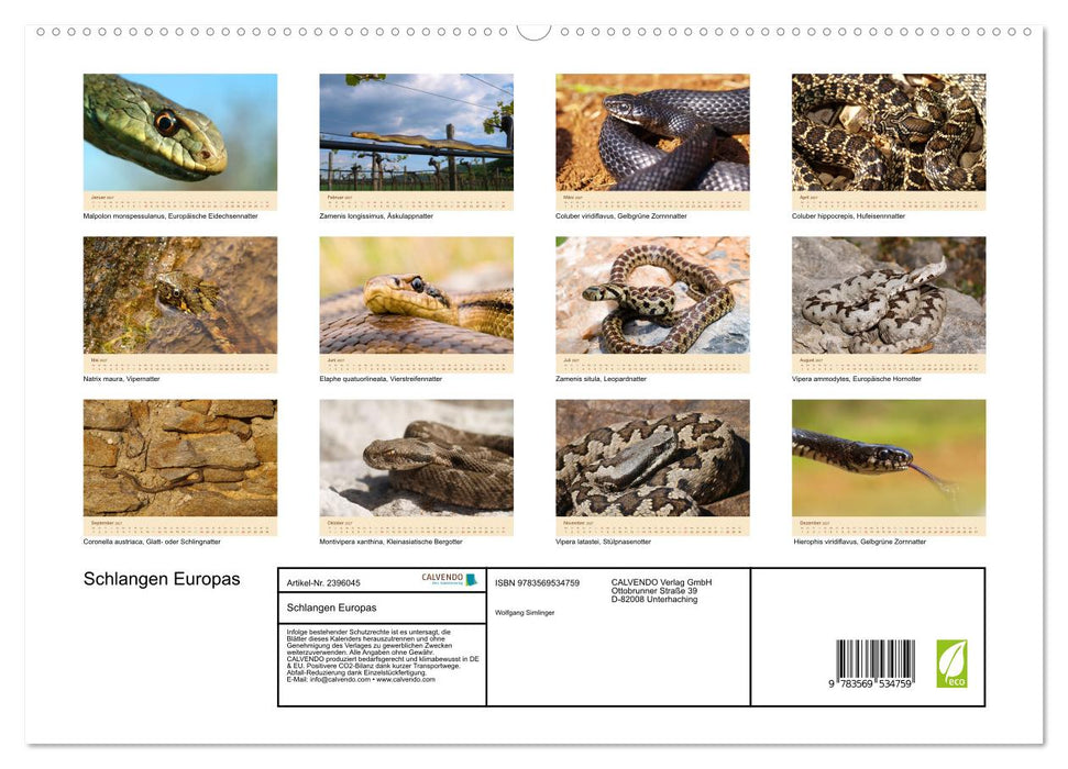 Schlangen Europas (CALVENDO Premium Wandkalender 2027)