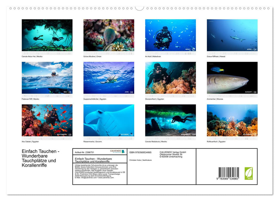 Einfach Tauchen - Wunderbare Tauchplätze und Korallenriffe (CALVENDO Premium Wandkalender 2027)