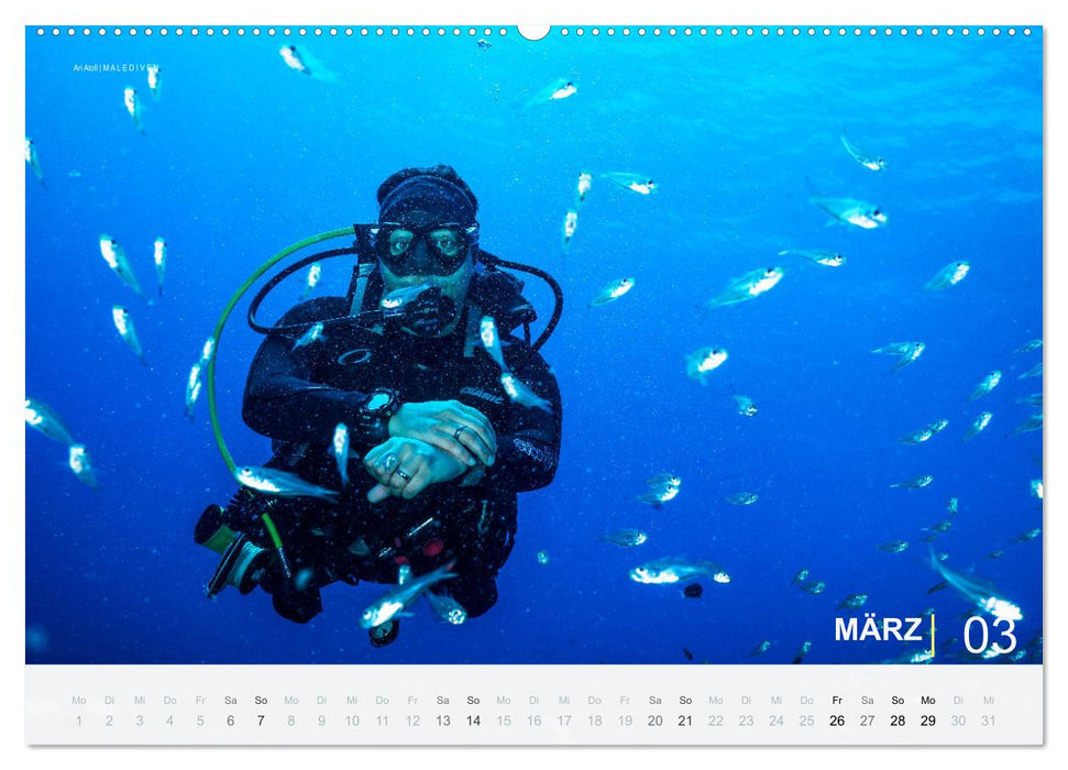 Einfach Tauchen - Wunderbare Tauchplätze und Korallenriffe (CALVENDO Premium Wandkalender 2027)
