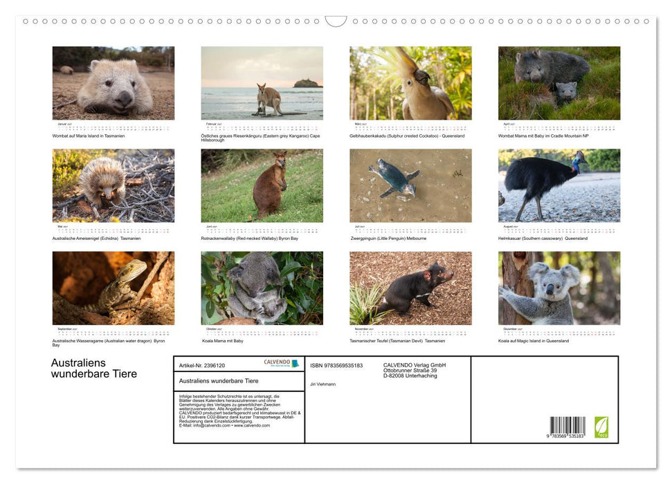 Australiens wunderbare Tiere (CALVENDO Wandkalender 2027)