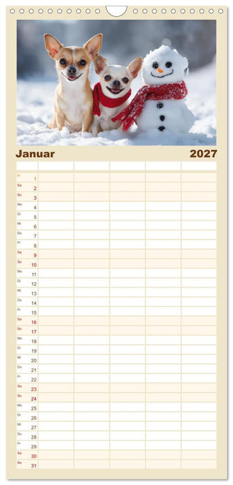 Chihuahua Glücksmomente (CALVENDO Familienplaner 2027)
