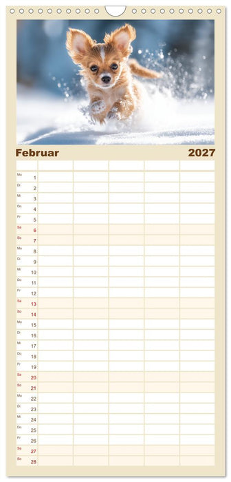Chihuahua Glücksmomente (CALVENDO Familienplaner 2027)