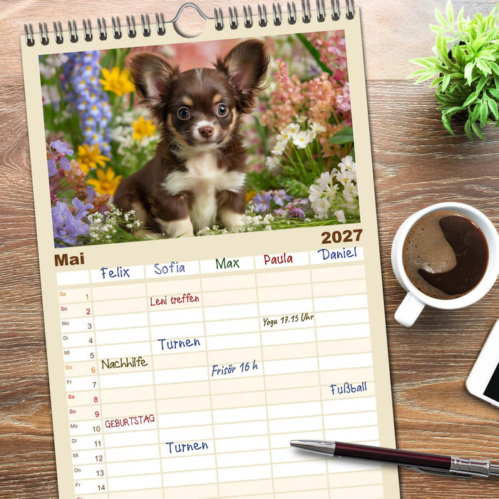Chihuahua Glücksmomente (CALVENDO Familienplaner 2027)