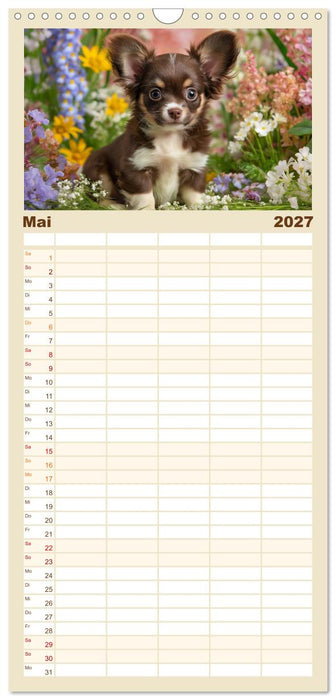 Chihuahua Glücksmomente (CALVENDO Familienplaner 2027)