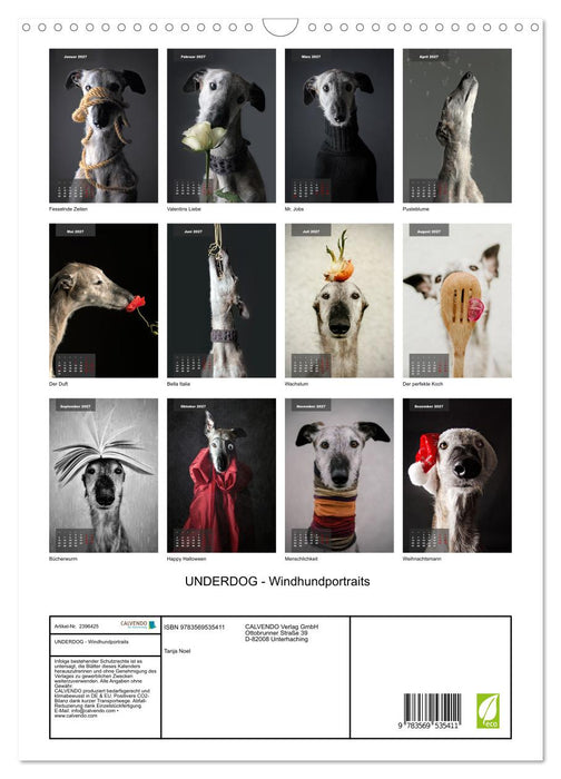 UNDERDOG - Windhundportraits (CALVENDO Wandkalender 2027)