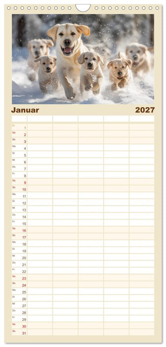 Labrador Liebe (CALVENDO Familienplaner 2027)