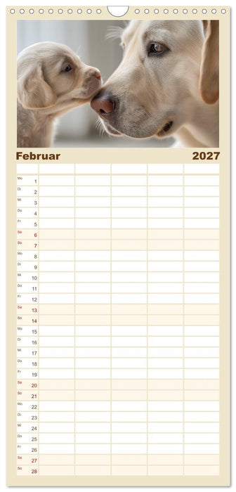 Labrador Liebe (CALVENDO Familienplaner 2027)