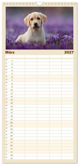 Labrador Liebe (CALVENDO Familienplaner 2027)