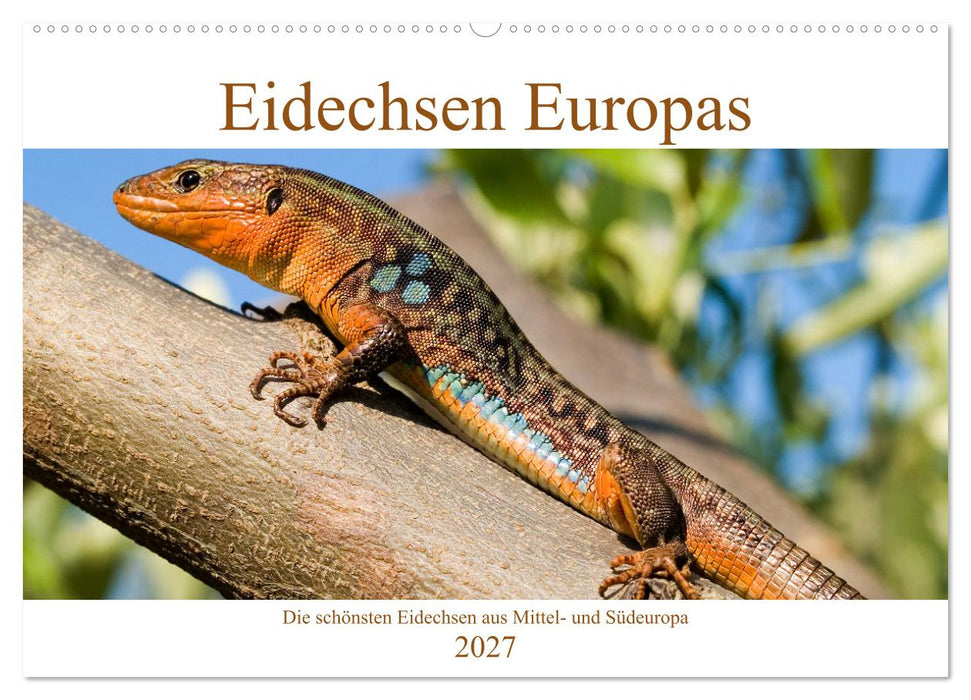 Eidechsen Europas (CALVENDO Wandkalender 2027)