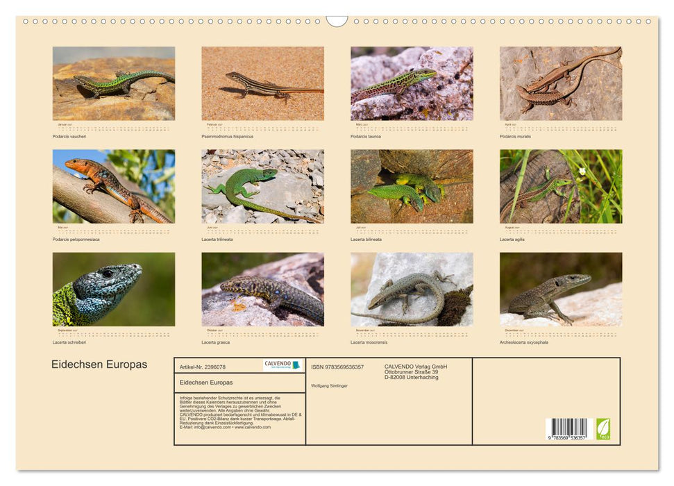 Eidechsen Europas (CALVENDO Wandkalender 2027)
