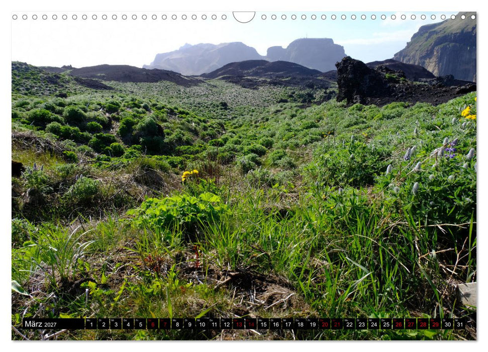 Heimaey - Islands bezaubernde Vulkaninsel (CALVENDO Wandkalender 2027)