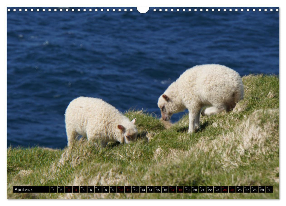 Heimaey - Islands bezaubernde Vulkaninsel (CALVENDO Wandkalender 2027)