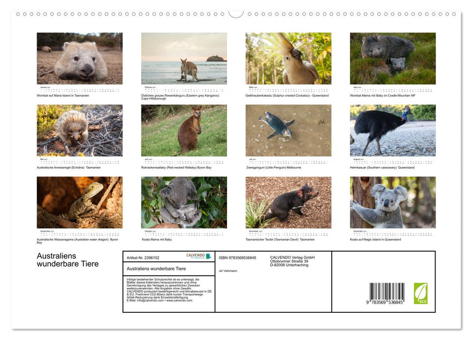 Australiens wunderbare Tiere (CALVENDO Premium Wandkalender 2027)