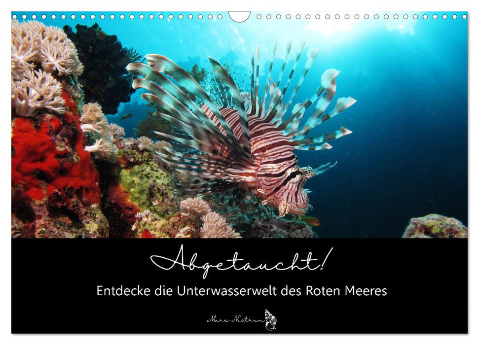 Abgetaucht! Entdecke die Unterwasserwelt des Roten Meeres (CALVENDO Wandkalender 2027)