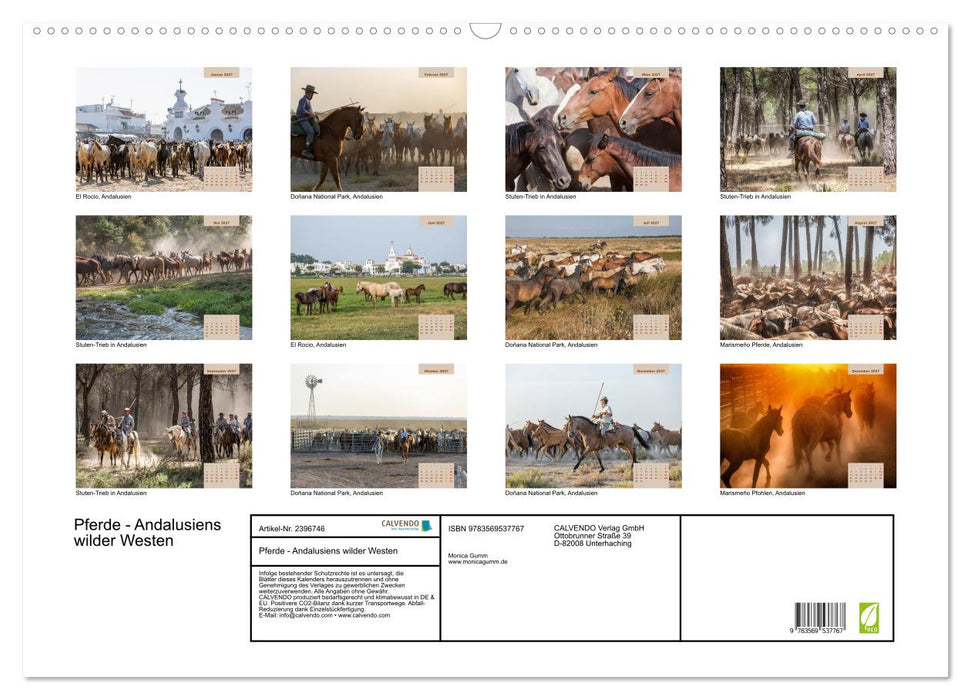 Pferde - Andalusiens wilder Westen (CALVENDO Wandkalender 2027)