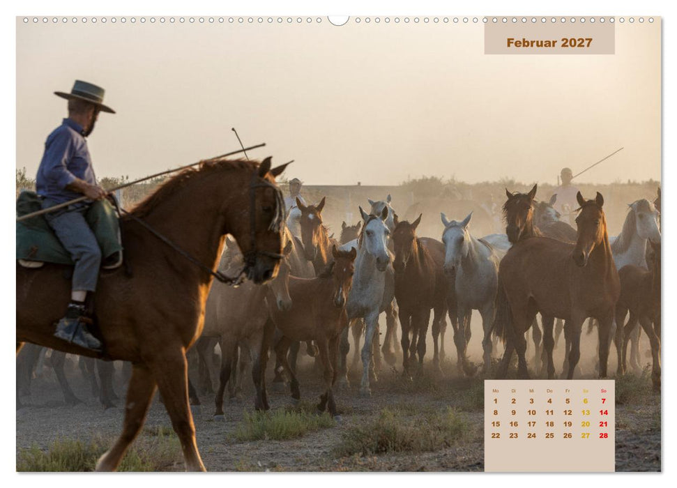 Pferde - Andalusiens wilder Westen (CALVENDO Wandkalender 2027)