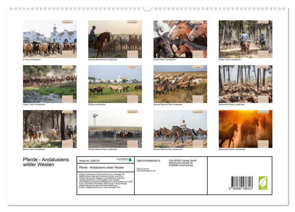 Pferde - Andalusiens wilder Westen (CALVENDO Premium Wandkalender 2027)