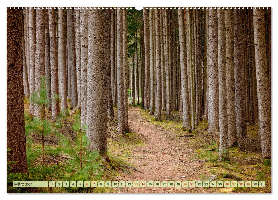Wandern - die Welt erwartet Dich (CALVENDO Premium Wandkalender 2027)