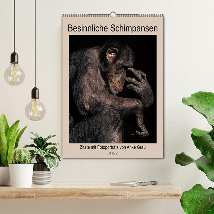 Besinnliche Schimpansen (CALVENDO Wandkalender 2027)