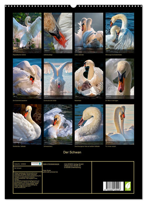 Der Schwan (CALVENDO Wandkalender 2027)