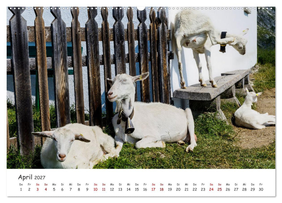 Der Kanton Wallis - einfach liebenswert (CALVENDO Wandkalender 2027)