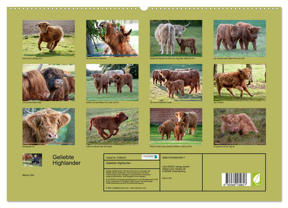 Geliebte Highlander (CALVENDO Wandkalender 2027)