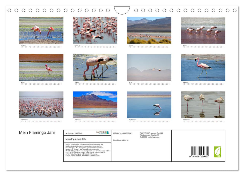 Mein Flamingo Jahr (CALVENDO Wandkalender 2027)