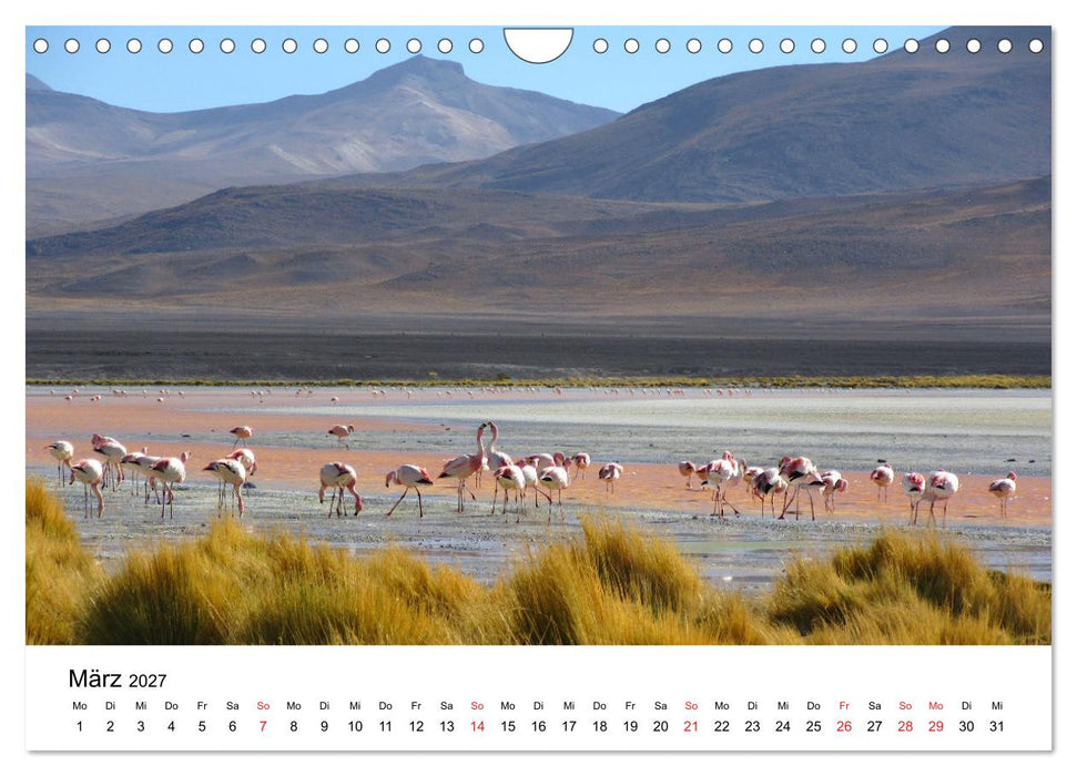 Mein Flamingo Jahr (CALVENDO Wandkalender 2027)