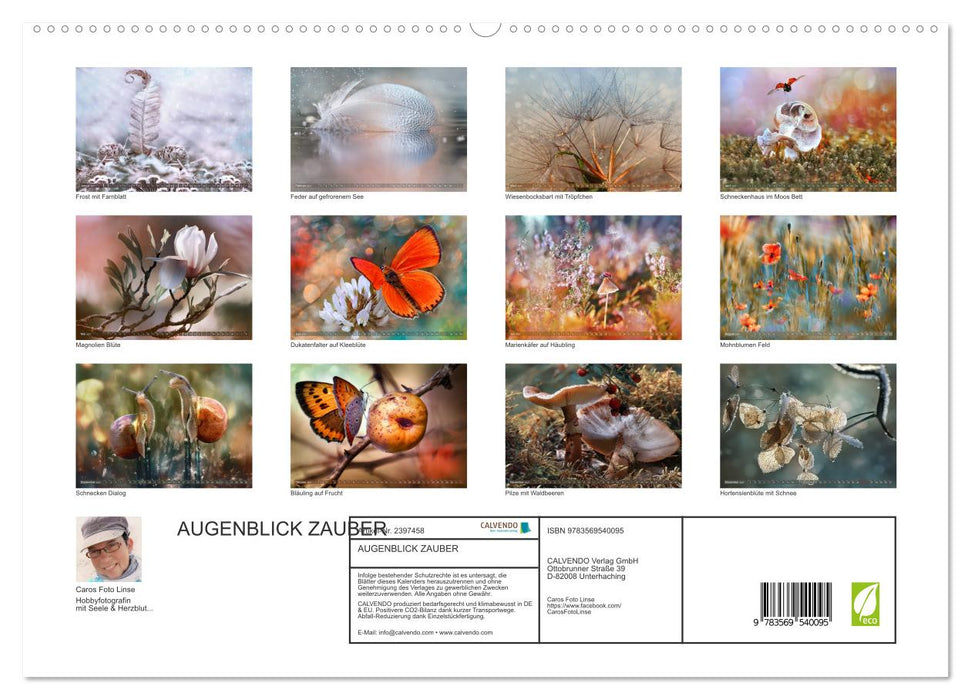 AUGENBLICK ZAUBER (CALVENDO Premium Wandkalender 2027)