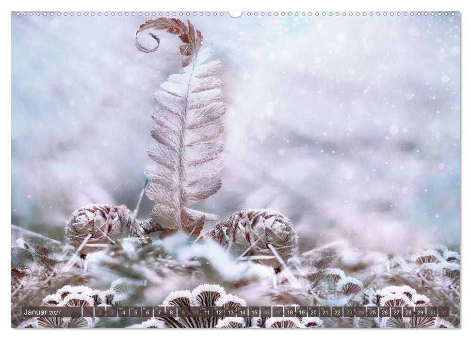 AUGENBLICK ZAUBER (CALVENDO Premium Wandkalender 2027)