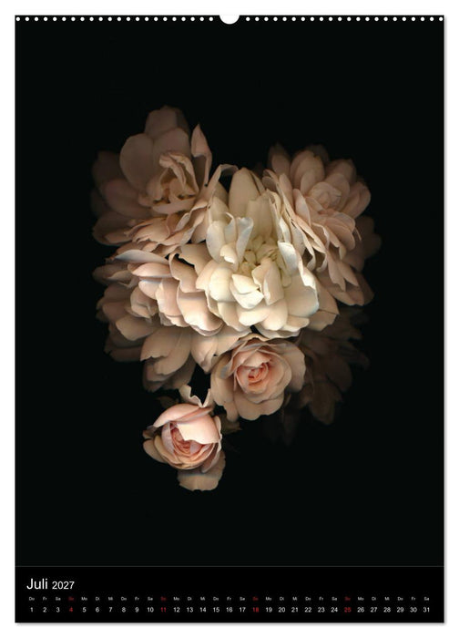 Blumen bei Nacht (CALVENDO Premium Wandkalender 2027)