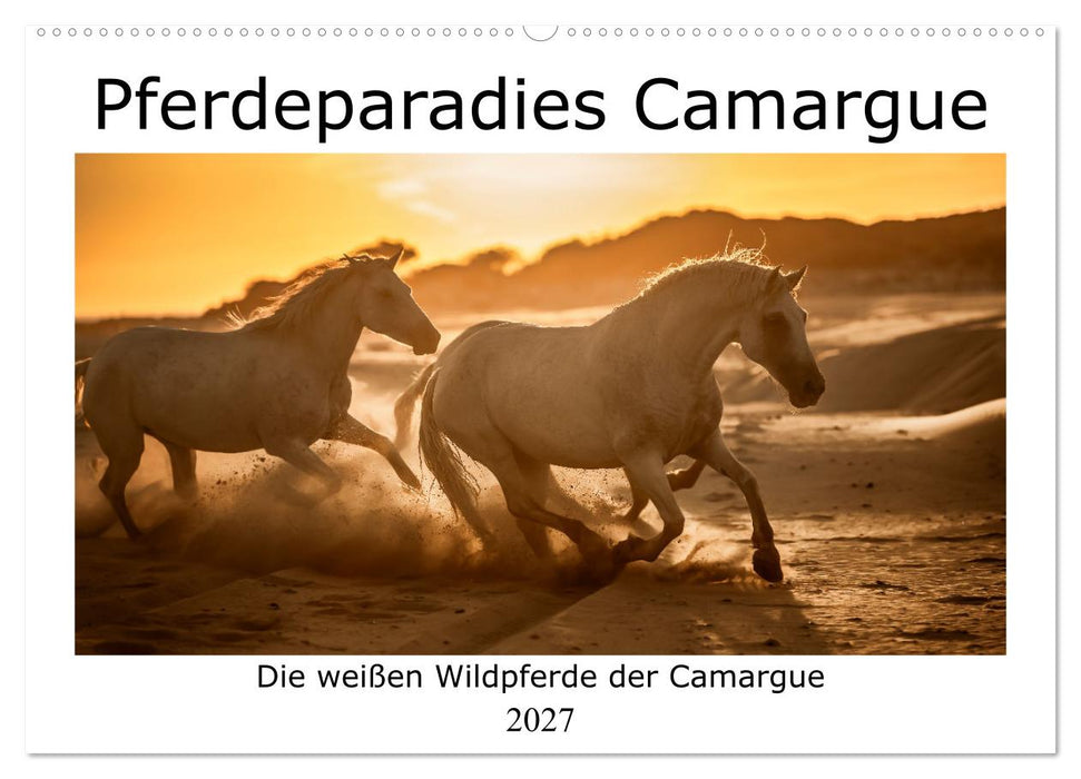 Pferdeparadies Camargue (CALVENDO Wandkalender 2027)