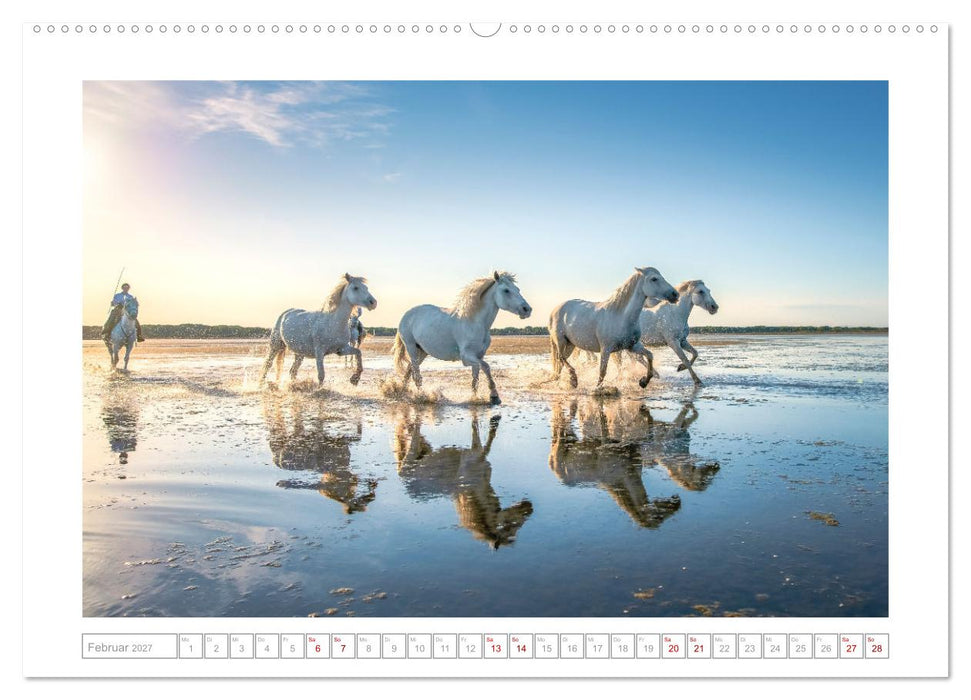 Pferdeparadies Camargue (CALVENDO Wandkalender 2027)