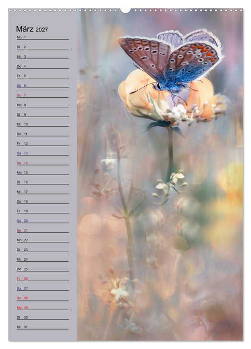 Pastell-Zauber (CALVENDO Wandkalender 2027)
