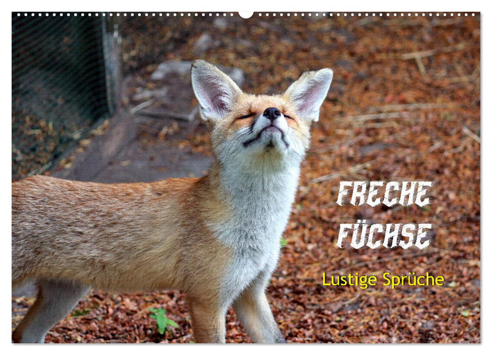 Freche Füchse - lustige Sprüche (CALVENDO Wandkalender 2027)