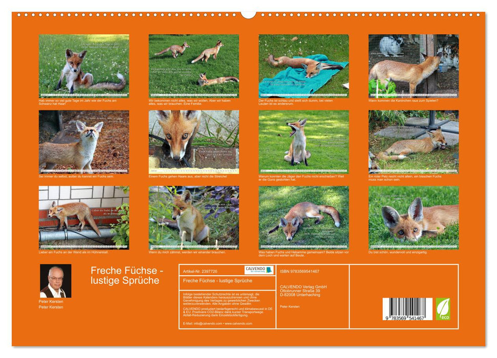 Freche Füchse - lustige Sprüche (CALVENDO Wandkalender 2027)