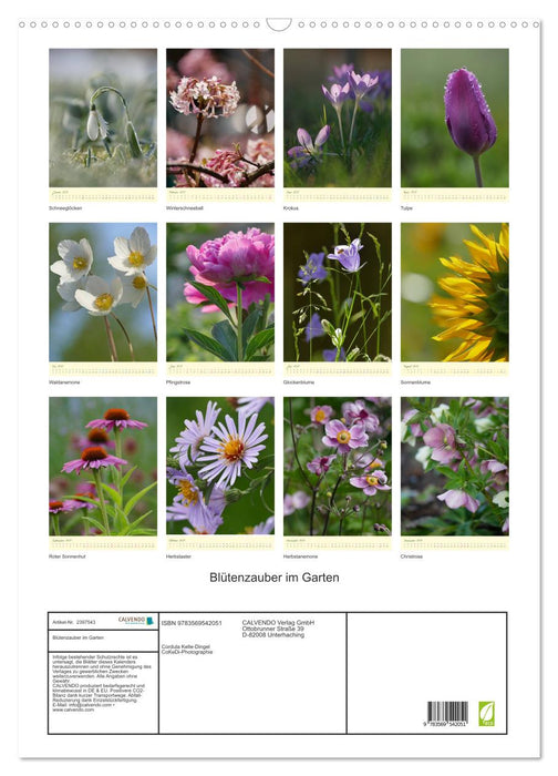 Blütenzauber im Garten (CALVENDO Wandkalender 2027)