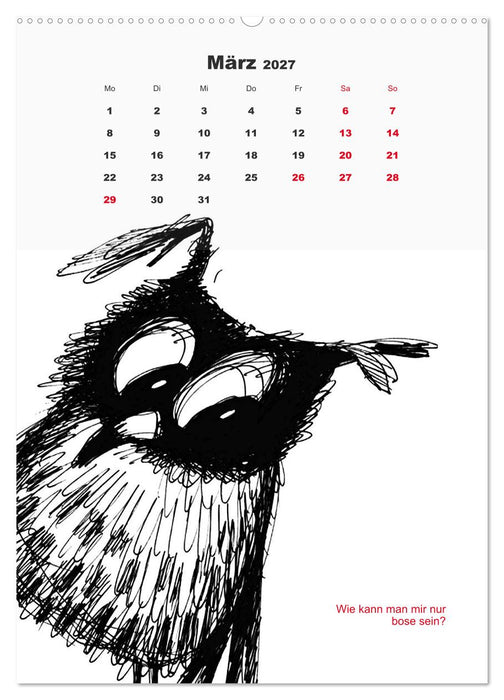 Vor dem Spiegel 2027 (CALVENDO Wandkalender 2027)