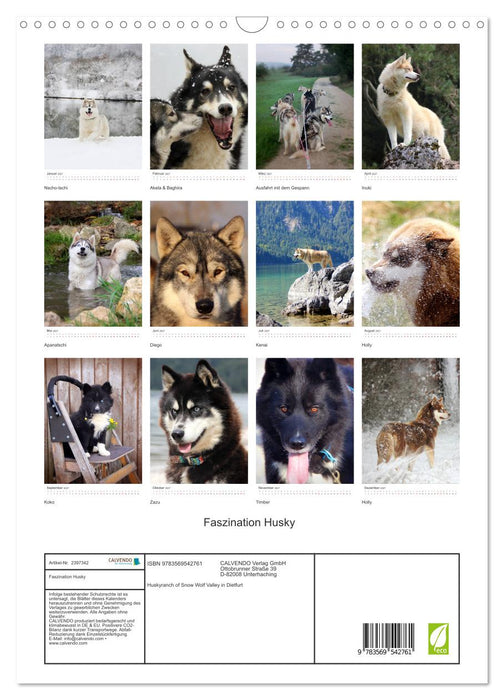 Faszination Husky (CALVENDO Wandkalender 2027)