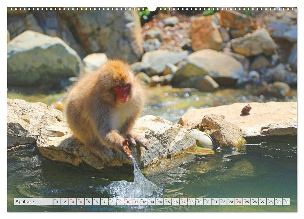 Japan das Land der aufgehenden Sonne (CALVENDO Wandkalender 2027)