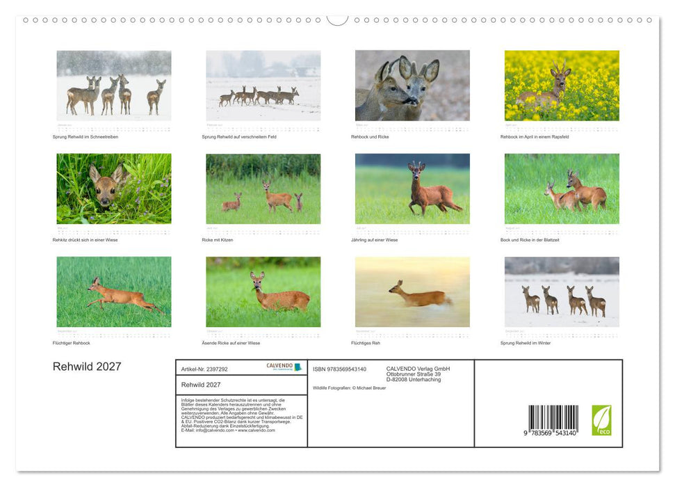 Rehwild 2027 (CALVENDO Premium Wandkalender 2027)