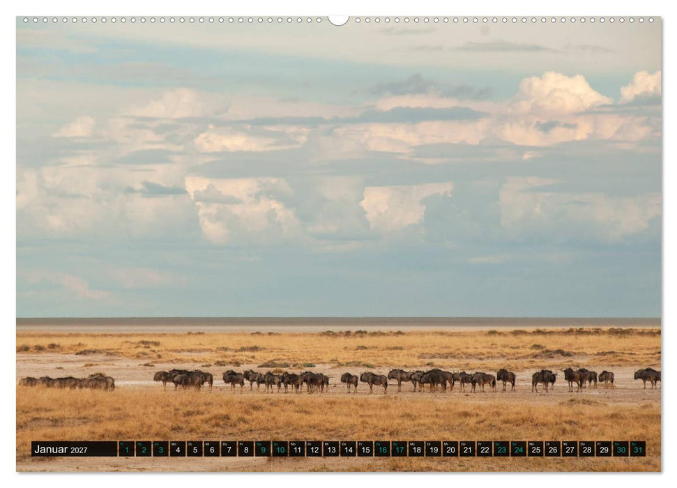 Namibia-Land der Sehnsucht (CALVENDO Premium Wandkalender 2027)
