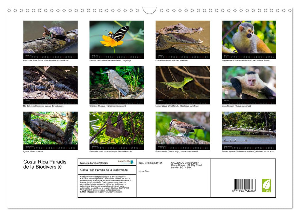 Costa Rica Paradis de la Biodiversité (CALVENDO Calendrier mensuel 2027)