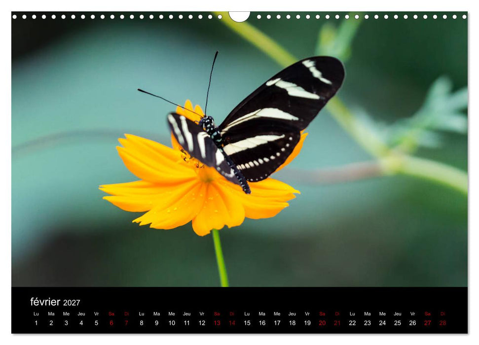 Costa Rica Paradis de la Biodiversité (CALVENDO Calendrier mensuel 2027)