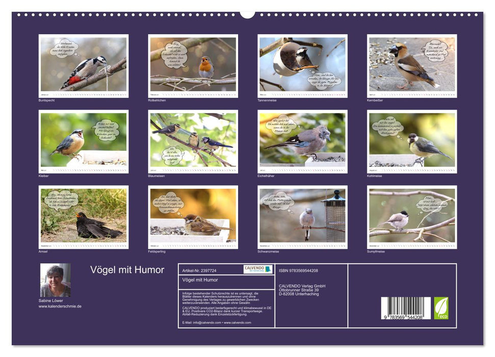 Vögel mit Humor (CALVENDO Premium Wandkalender 2027)